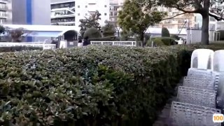 二零二三七月十二_萌宝_3